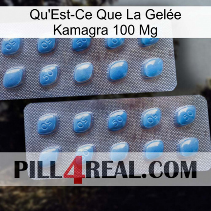 What Is Kamagra Jelly 100Mg viagra4